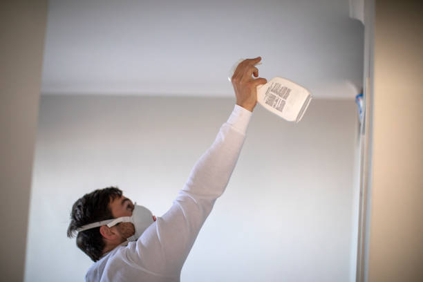 Best Attic Mold Removal  in Grizzly Flats, CA