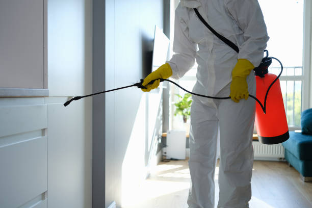 Best Office Mold Removal Services  in Grizzly Flats, CA