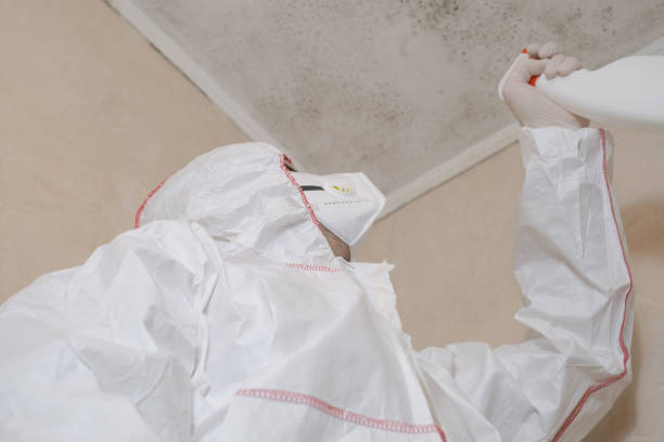 Best Professional Mold Removal  in Grizzly Flats, CA