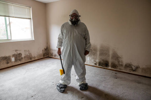 Best Local Mold Removal Service  in Grizzly Flats, CA